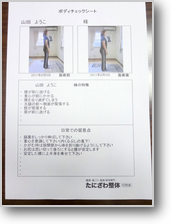 ボディチェックシート ボディチェックシート
