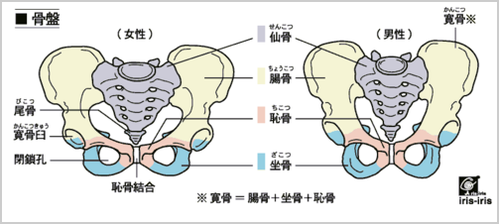 画像の説明
